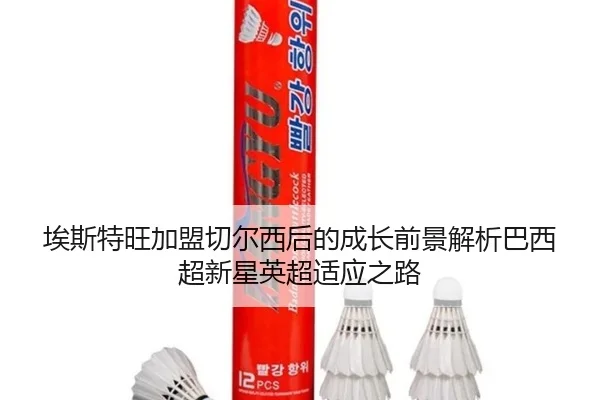 ai-si-te-wang-jia-meng-qie-er-xi-hou-de-cheng-zhang-qian-jing-jie-xi-ba-xi-chao-xin-xing-ying-chao-shi-ying-zhi-lu-2-860.jpg