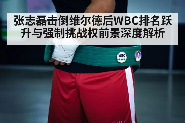 boxing champion belt